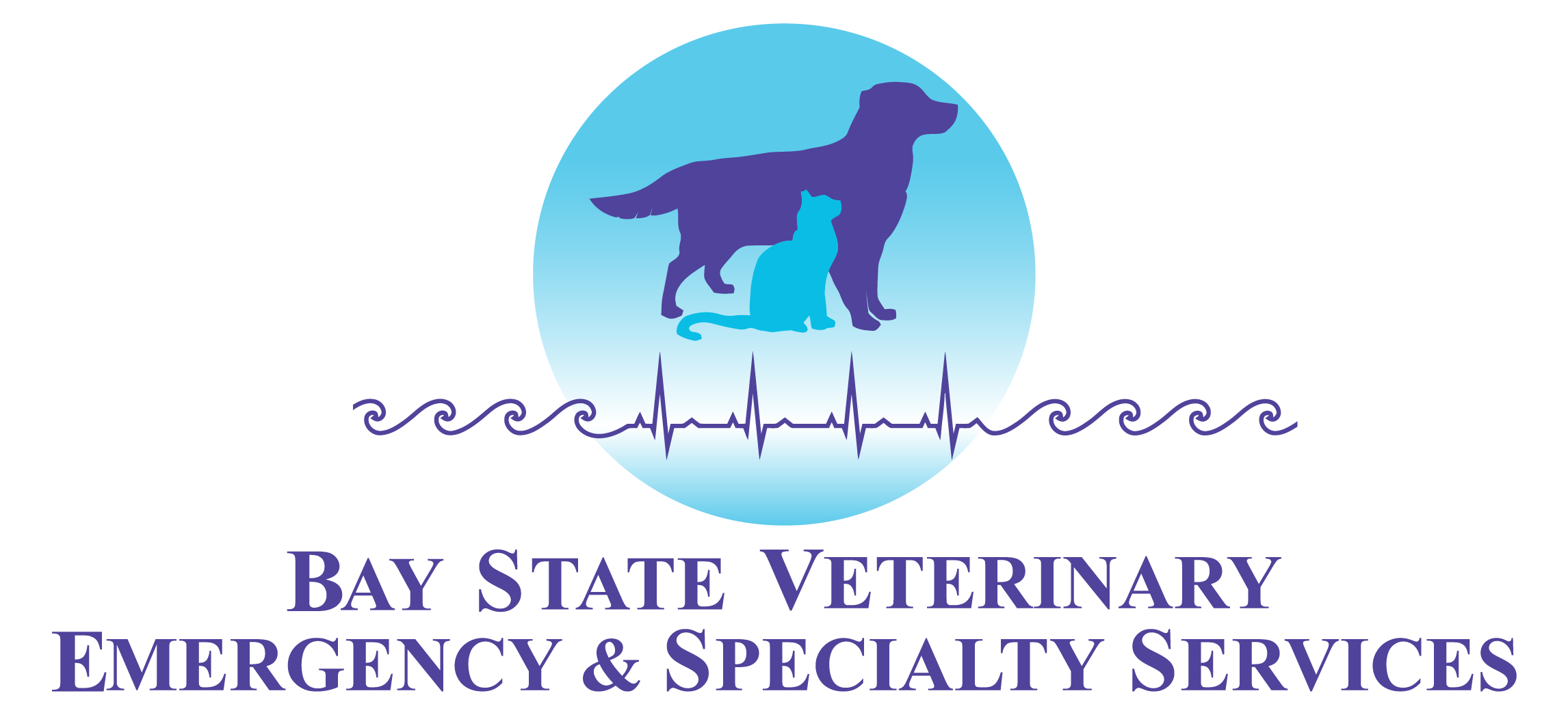 Veterinary Ophthalmologist, Bay State Veterinary Emergency and Specialty Services, Swansea, MA