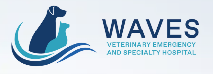 Veterinary Ophthalmologist, Washington Avenue Veterinary Emergency and Specialty Hospital, San Leandro, CA
