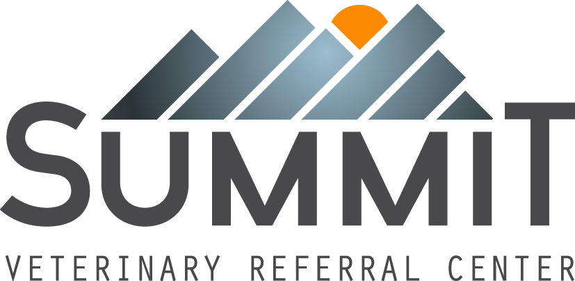 Veterinary Ophthalmologist, Summit Veterinary Referral Center, Tacoma, WA