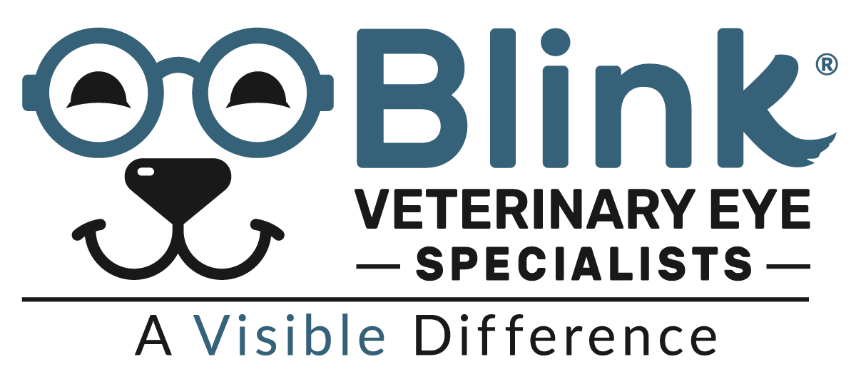 Board-Certified Veterinary Ophthalmologist, Blink Veterinary Eye Specialists, Dallas, TX