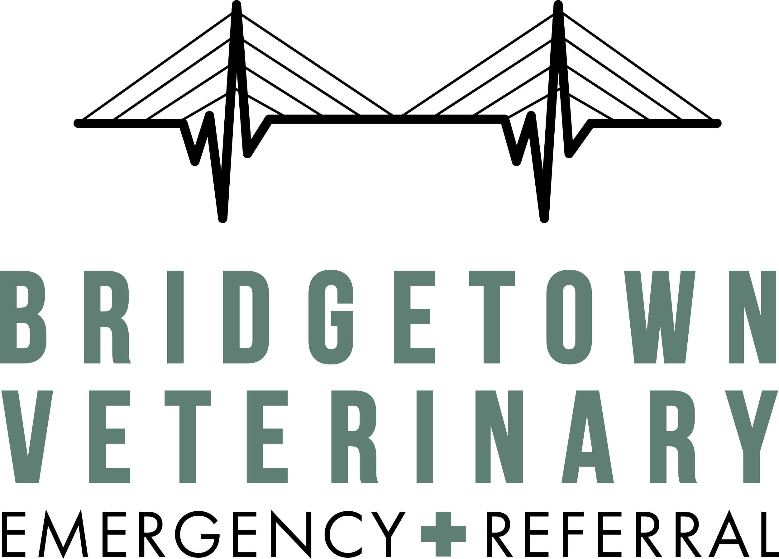 Veterinary Ophthalmologist, Bridgetown Veterinary Emergency &amp; Referral, Pacific Northwest