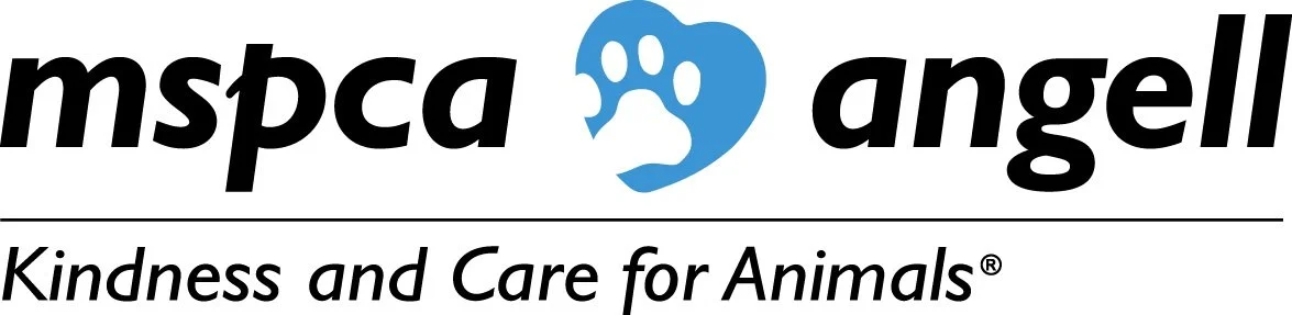 Board-Certified or Residency-Trained Veterinary Ophthalmologist, Angell Animal Medical Center, Waltham, MA