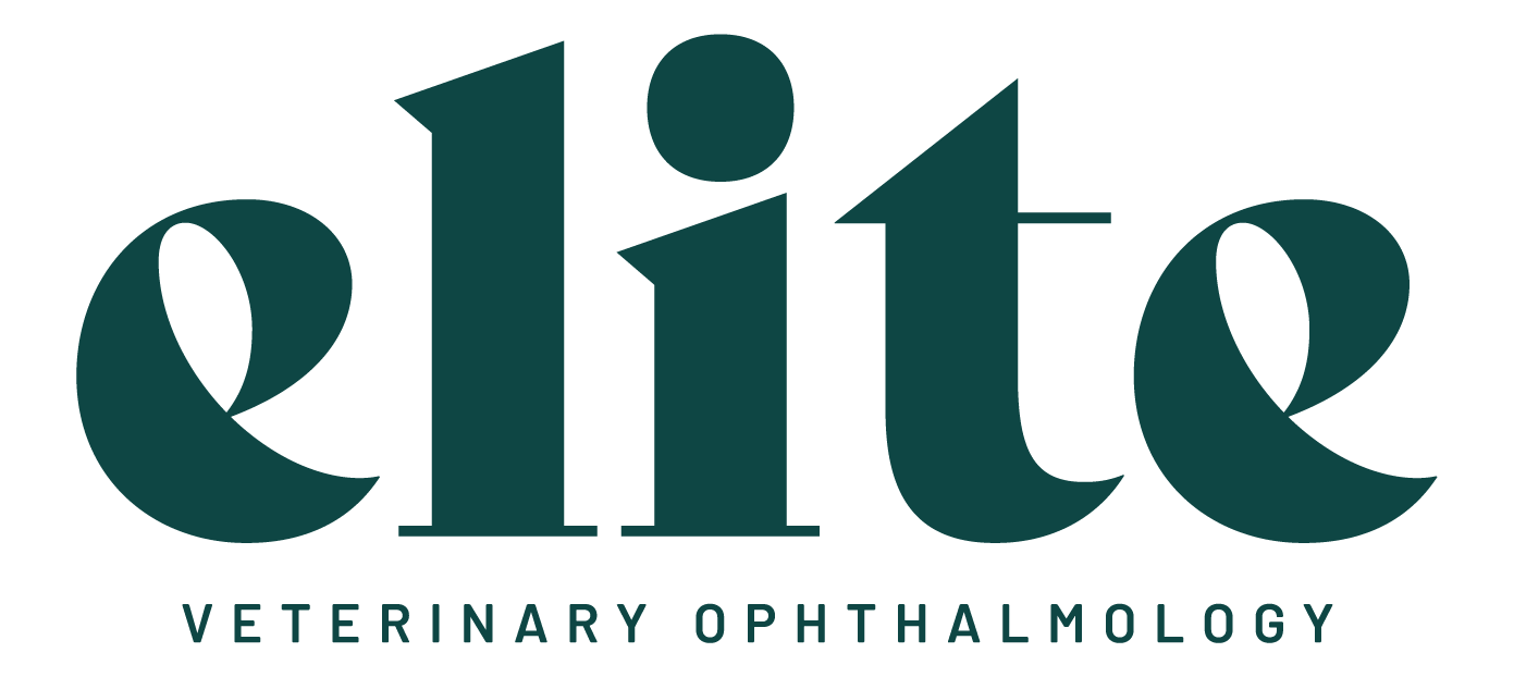 Board-Certified or Board-Eligible Veterinary Ophthalmologist, Elite Veterinary Ophthalmology, Central Florida 
