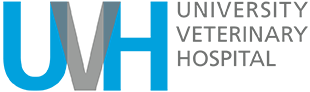 Veterinary Ophthalmologist (DACVO), University Veterinary Hospital, Shreveport, LA
