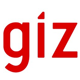 GIZ Logo.png
