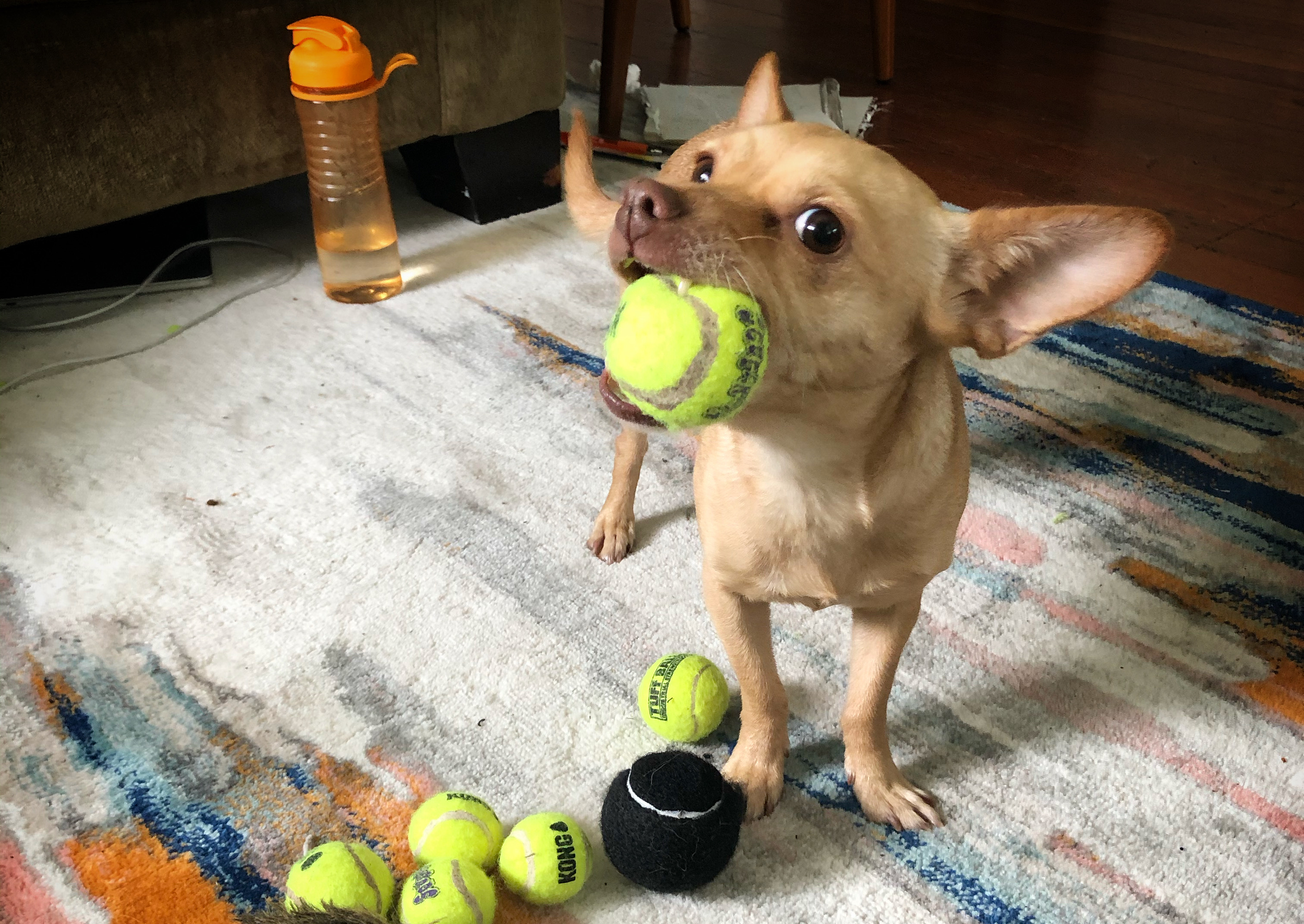 A PHAMEtastic Interview with Hosts Jessica &amp; Jason