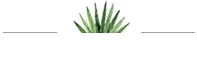 smalldetail.png