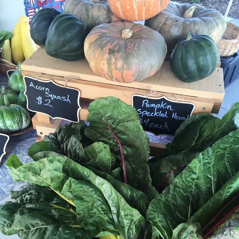 Squash+and+chard.jpg
