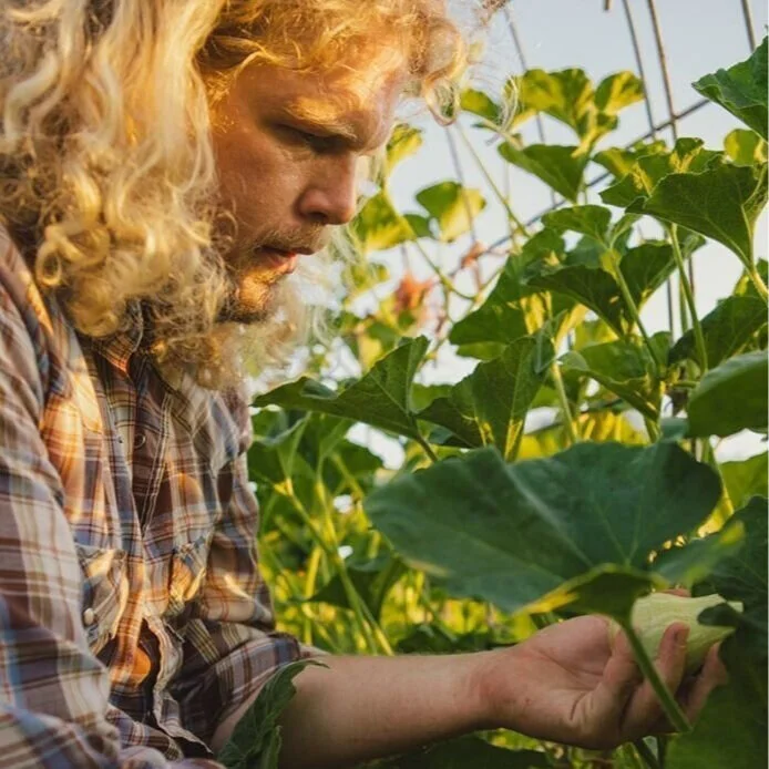 Harvest Instuctions (Copy)