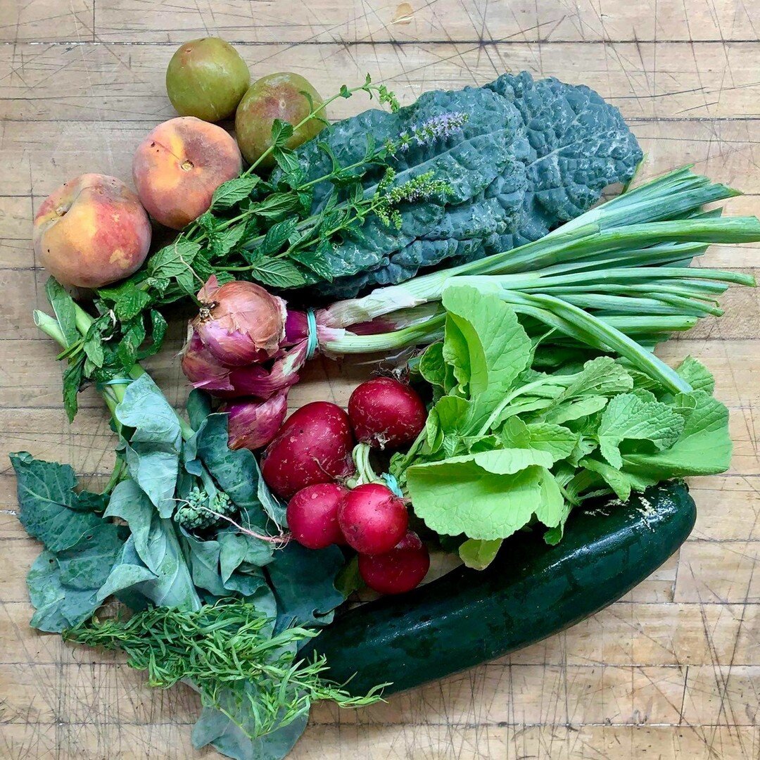 Happy #csasunday !!
This week our members are enjoying fresh picked: Zucchini, Radish, Broccoli shoots, Kale, Shallots, Tarragon with Plumcots (&lsquo;Superior&rsquo;) and Peaches from The Natomas Farm. To bring home the freshest, tastiest and health