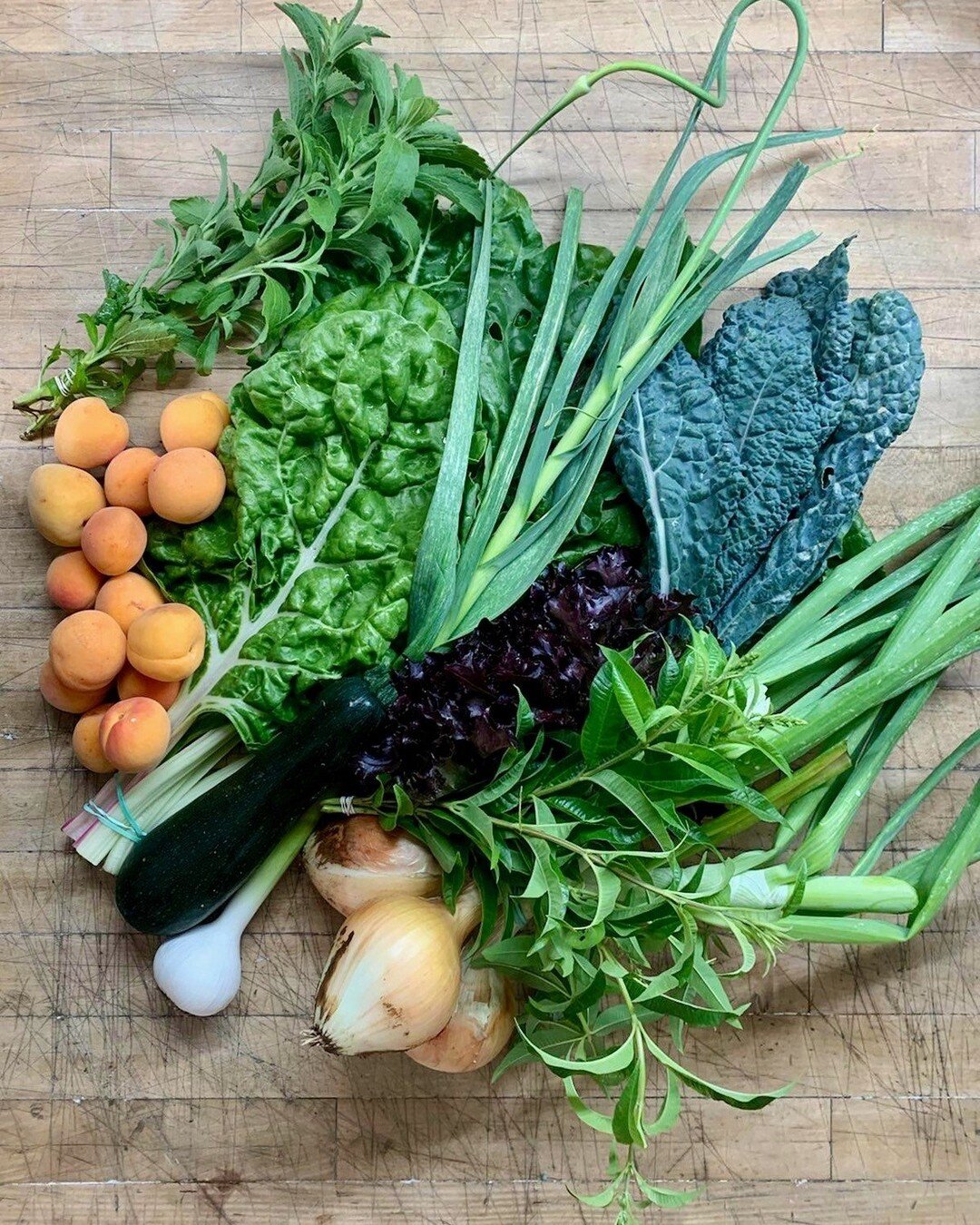 Happy Fathers Day and Happy #csasunday !!
This week our members are enjoying fresh picked: Rainbow chard, Kale - Black magic, Lettuce - red salanova, Zucchini - Desert, Onion - Candy, Spring Garlic - Music, Lemon Verbena, Stevia and Apricots - Blenhe