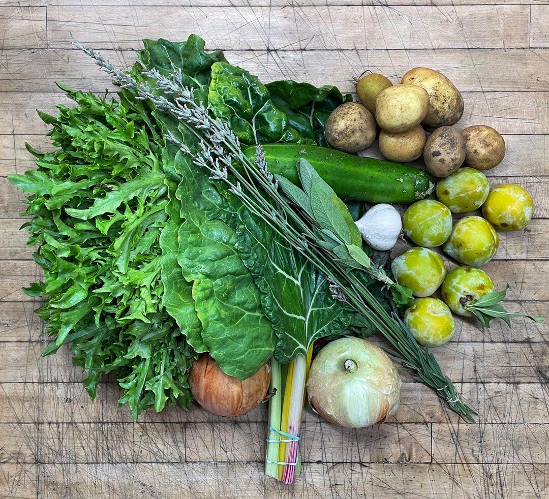 Let's get back to some CSA share posts, shall we?
This week our members are enjoying fresh picked: Potatoes, Lettuce - Salanova, Chard - rainbow,Garlic - Music, Onions, Sage, Lavender and Pluots - from The Natomas Farm. 
To bring home the freshest, t