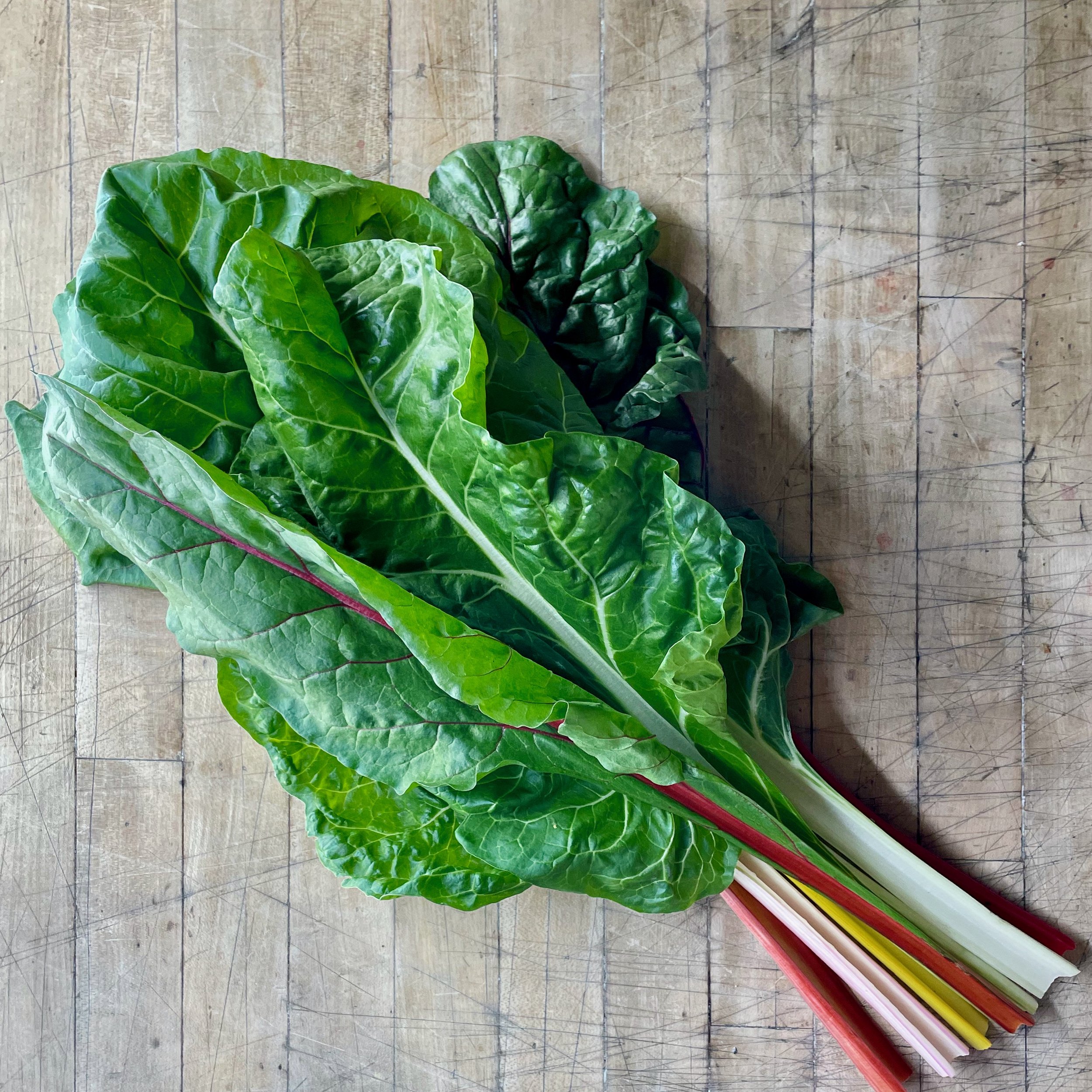 Chard.jpeg