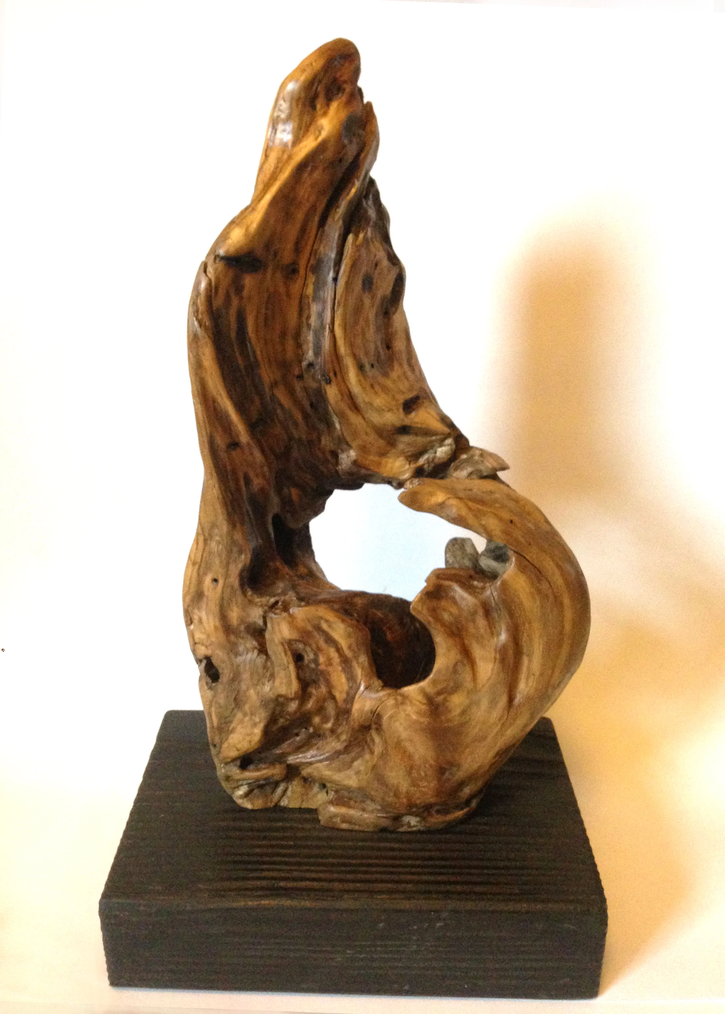 Kalalau - Driftwood sculpture from a remote Hawaiian beach deep into the Kalalau hiking trail. Sold.