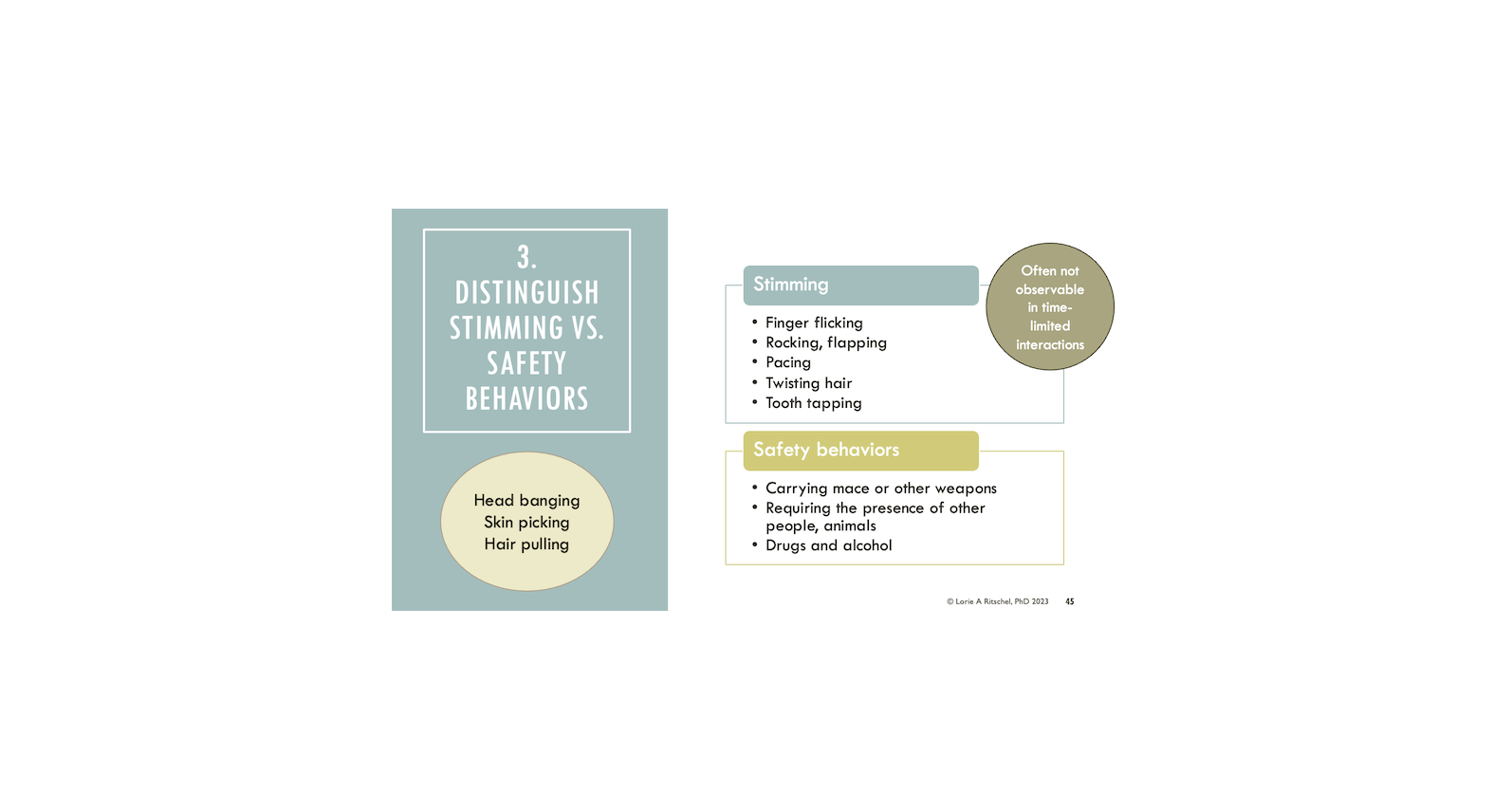 DBT PE with Autistic Individuals - Slide 45.png