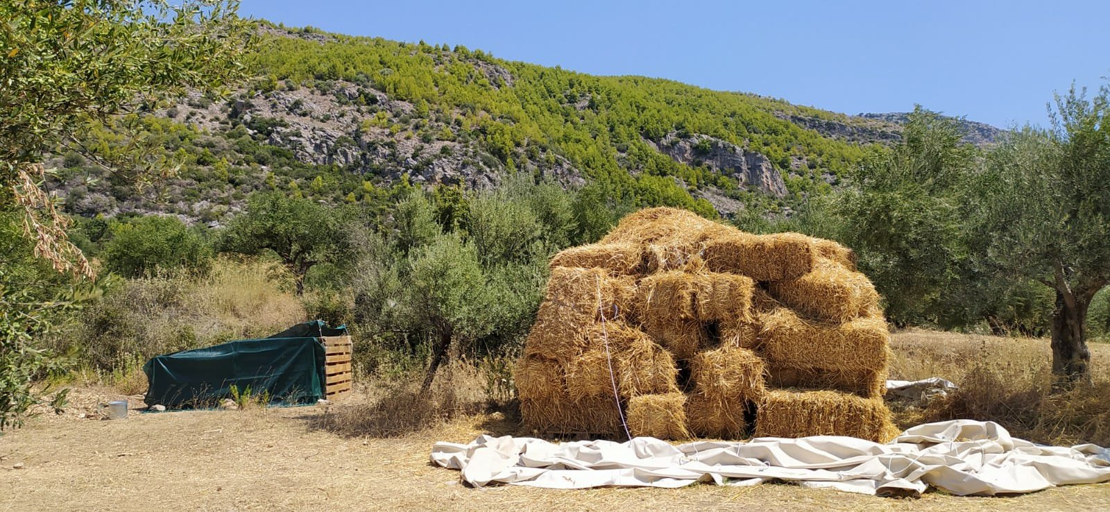 strawbale.JPG