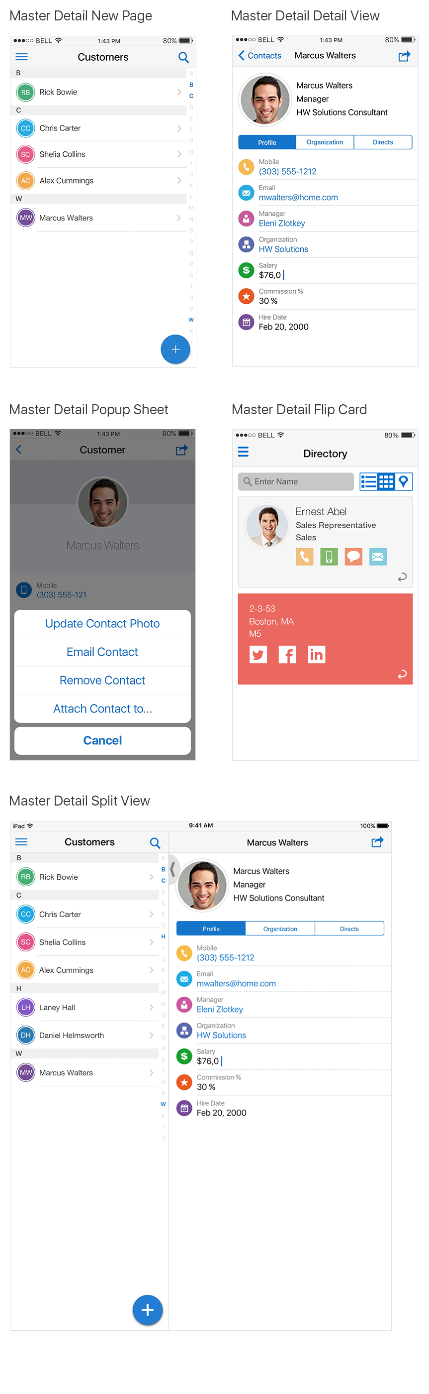 Alta Mobile iOS Master Detail Pattern.png