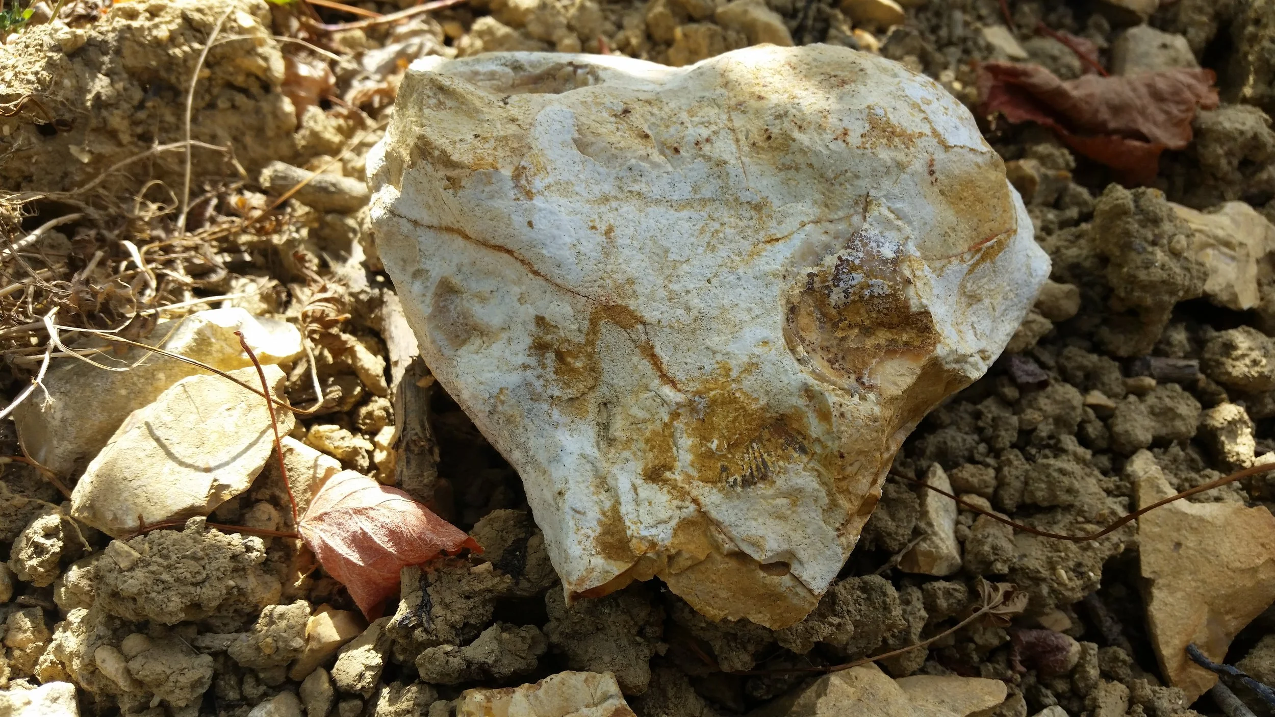 20160912_120451.jpg