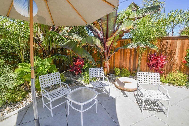 This shaded nook features tropical-style landscaping, including this musa (also known as a banana plant). It is the perfect spot to relax poolside and soak in the beautiful weather in SoCal this weekend! ☀️🌺😎⁣
#botanicalandscape⁣
⁣
⁣
⁣
⁣
⁣
⁣
⁣
⁣
#t