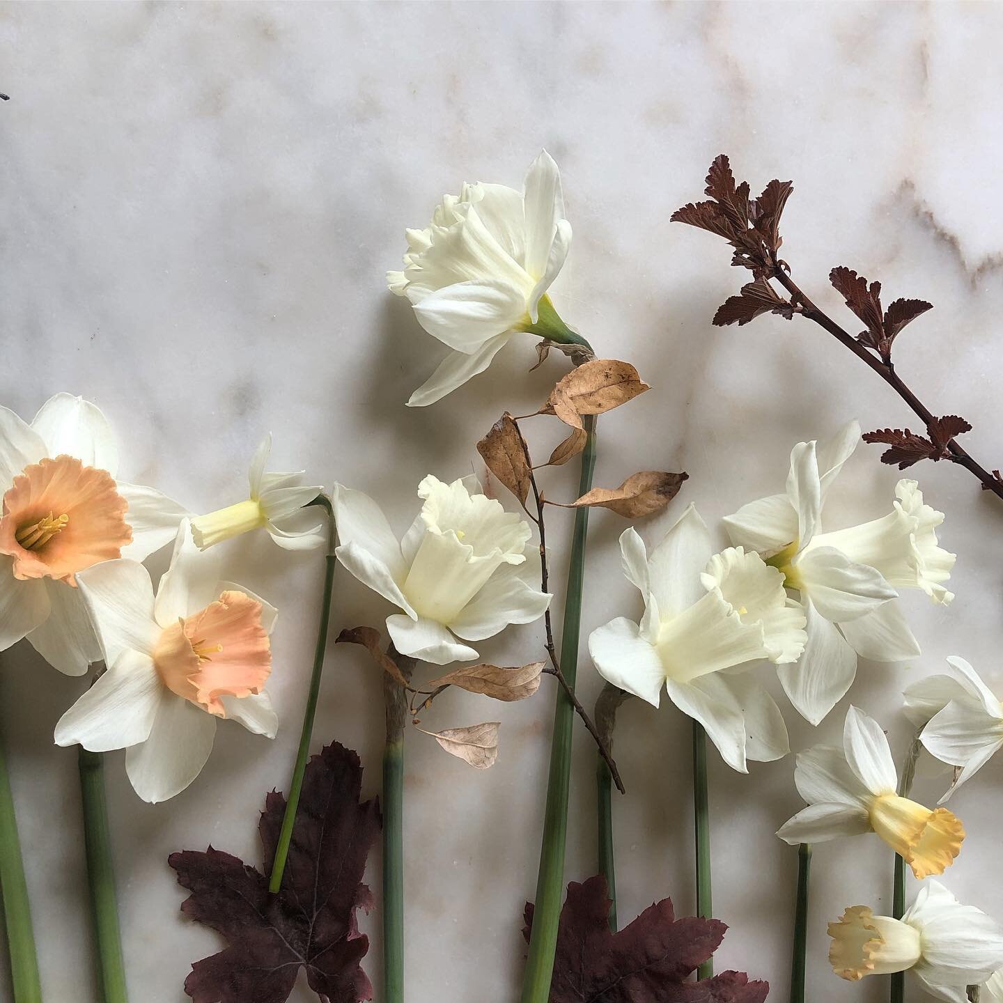 I&rsquo;ve made a significant decision about Hyssop over the last few months that I&rsquo;ve been pretty quiet about. Mostly because it feels vulnerable and a bit of a risk.  But I think its time to tell you that I&rsquo;ve made the commitment to sou
