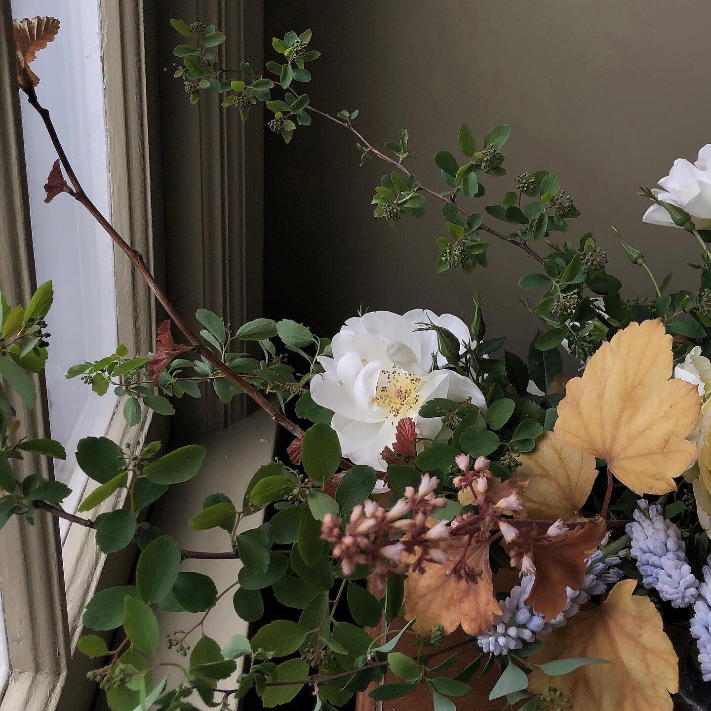 In case you missed it. Hyssop is now 100% local and chemical free. This was a difficult decision but it felt so needed given the state of our earth and the impact of the floral industry on our planet. Very thankful for clients who value sustainabilit