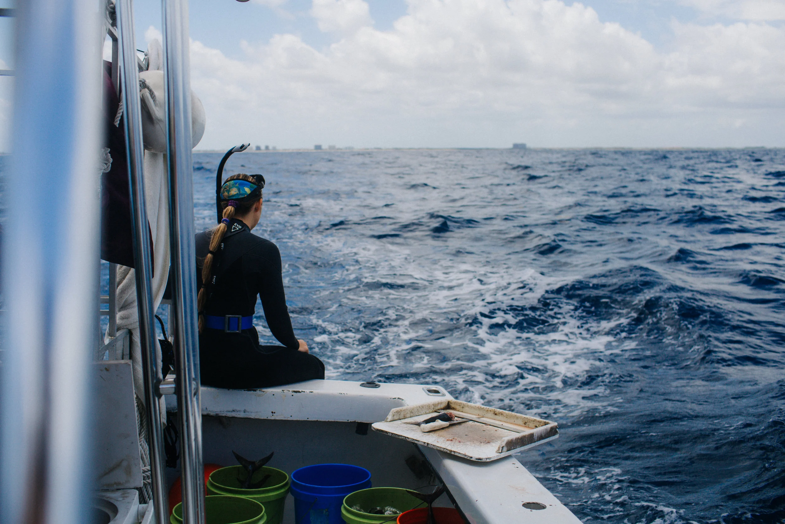 sharkdive5_TR2018 (2 of 120).jpg