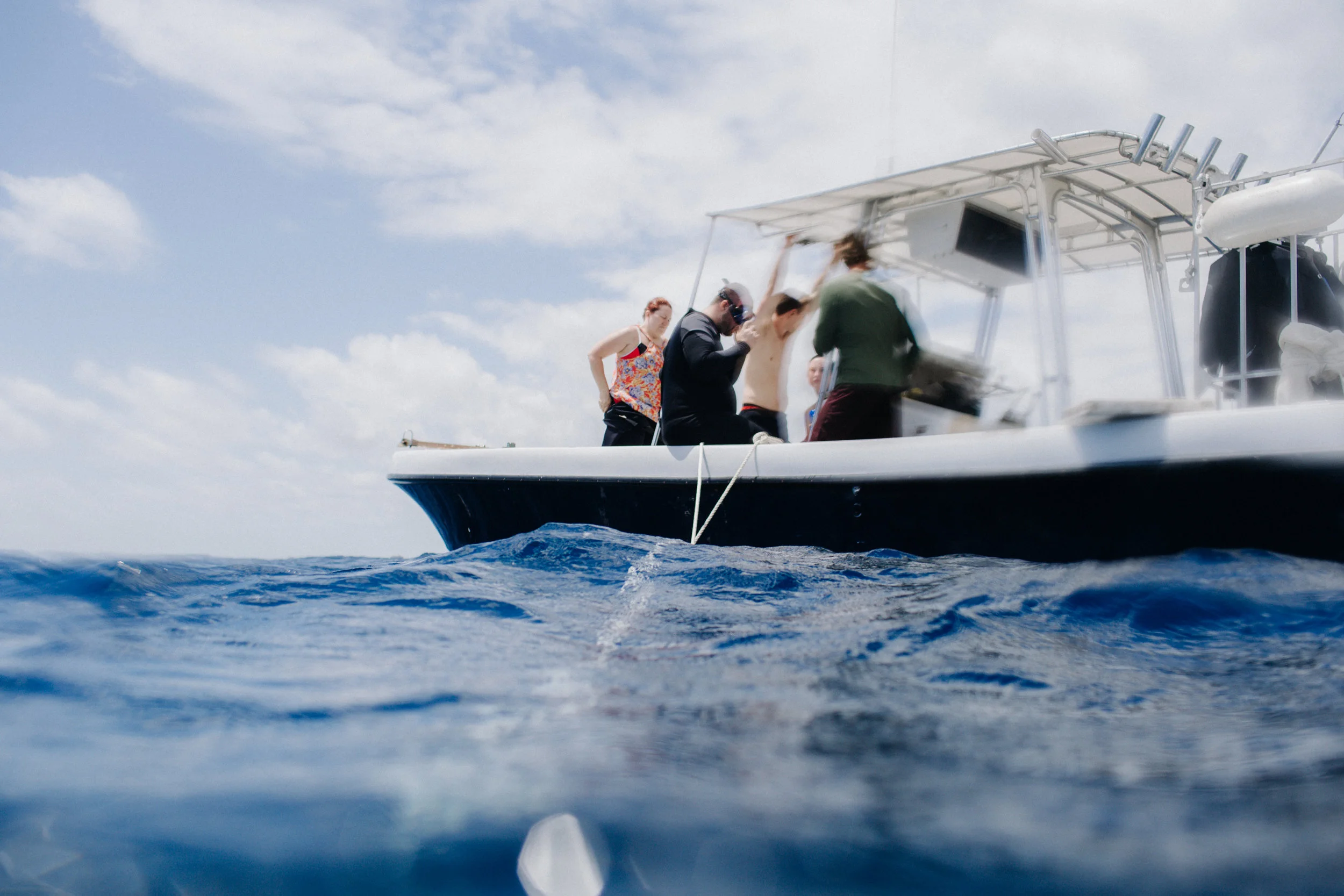 sharkdive5_TR2018 (8 of 120).jpg