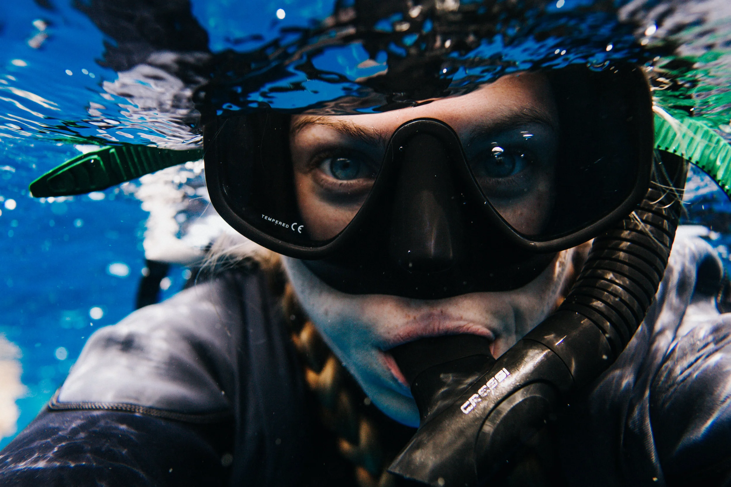 sharkdive5_TR2018 (100 of 120).jpg