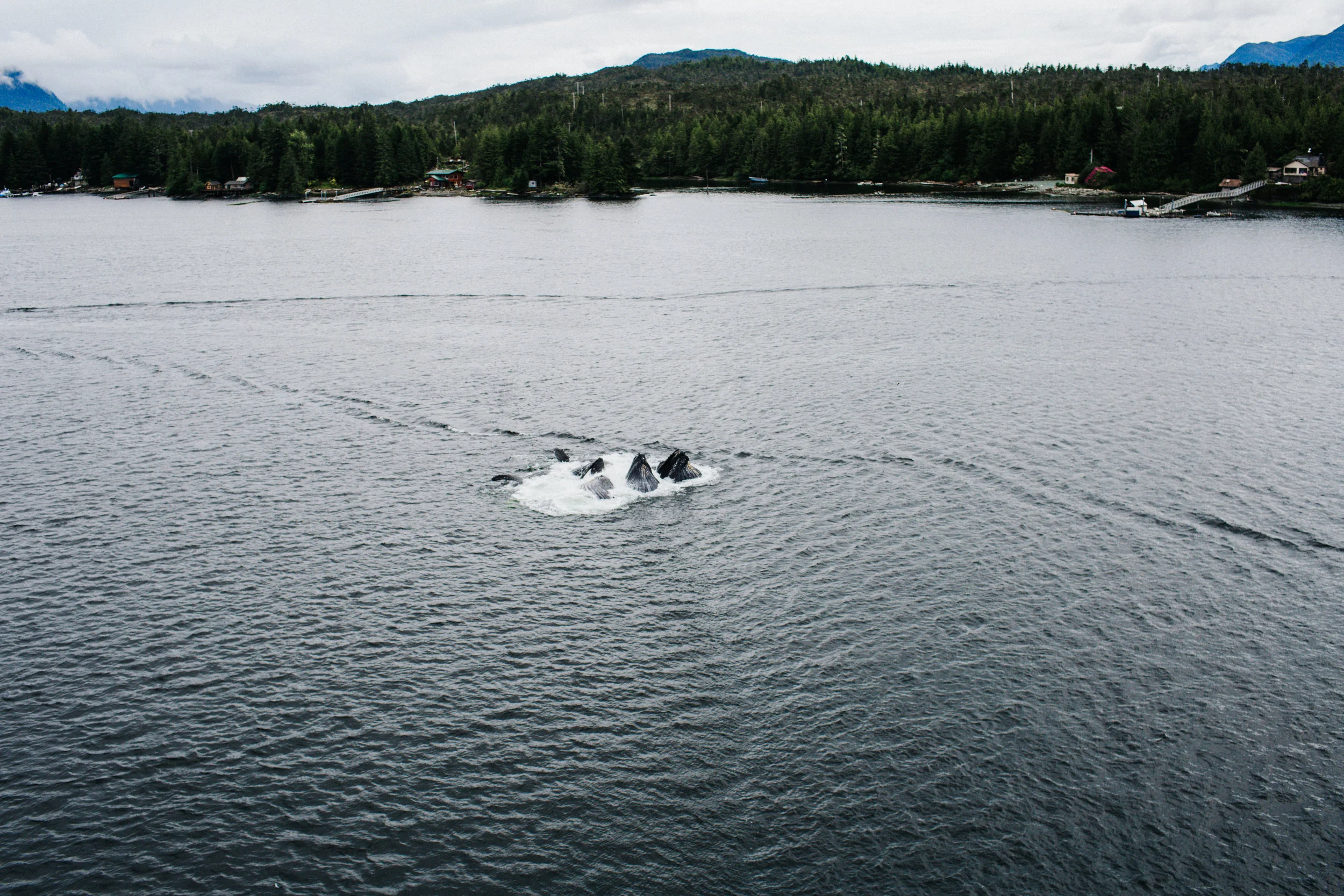 KetchikanAlaska2_TR2018 (3 of 3).jpg