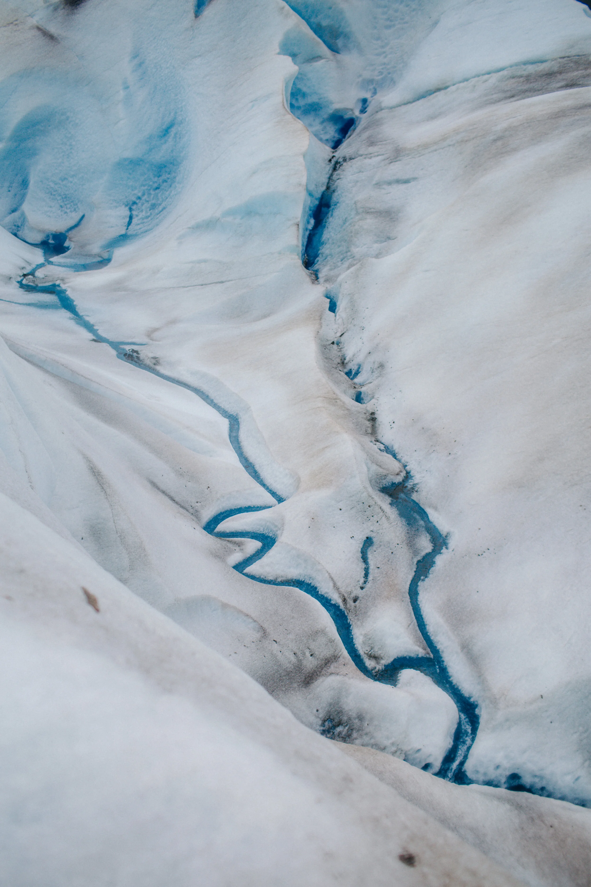 JuneauAlaska_TR2018 (79 of 106).jpg