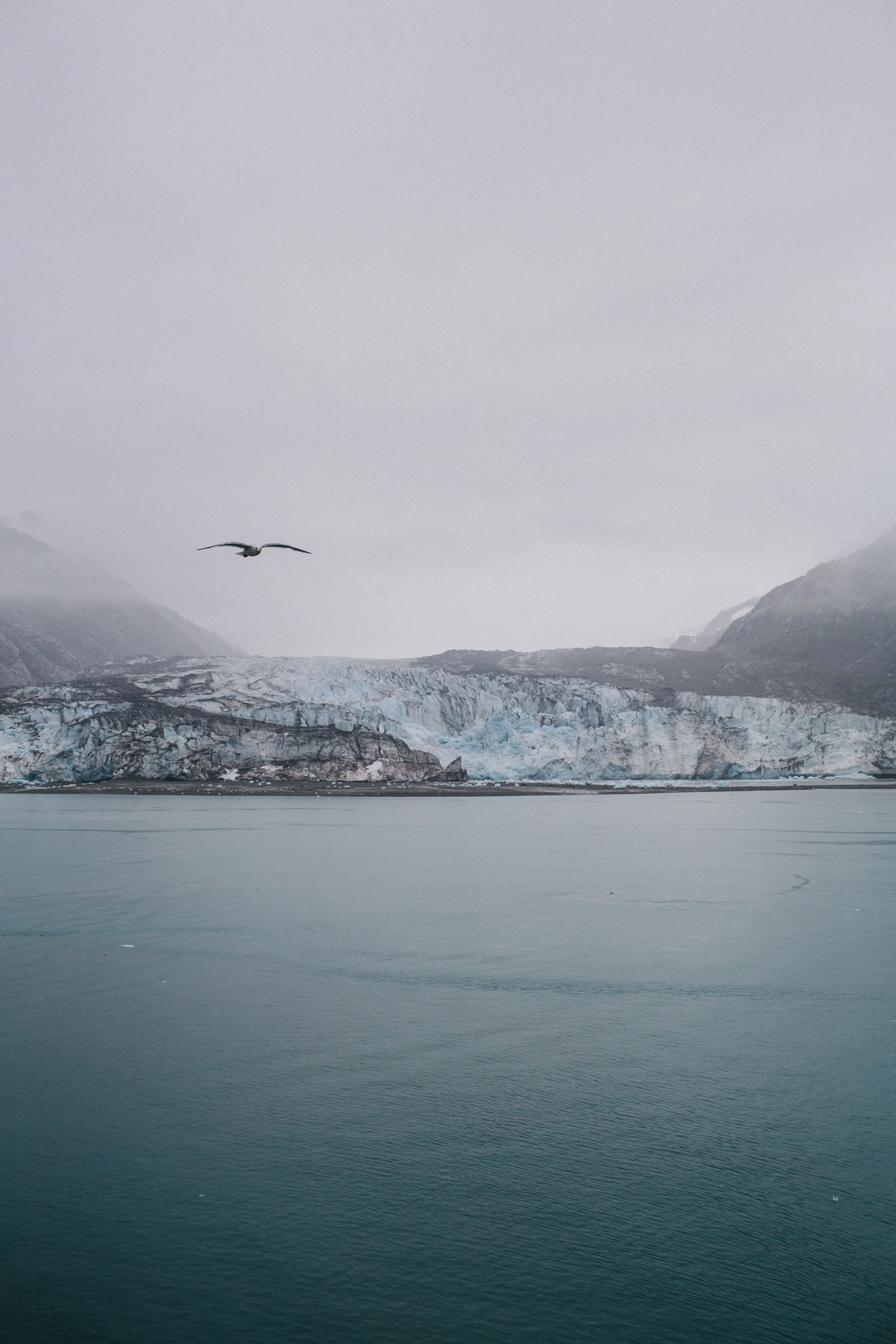 GlacierBayAlaska2_TR2018 (1 of 18).jpg