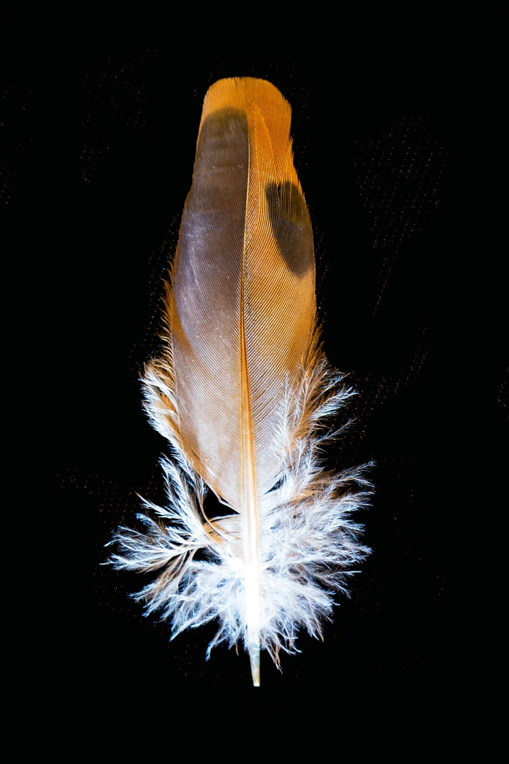 _DSC0120.jpg