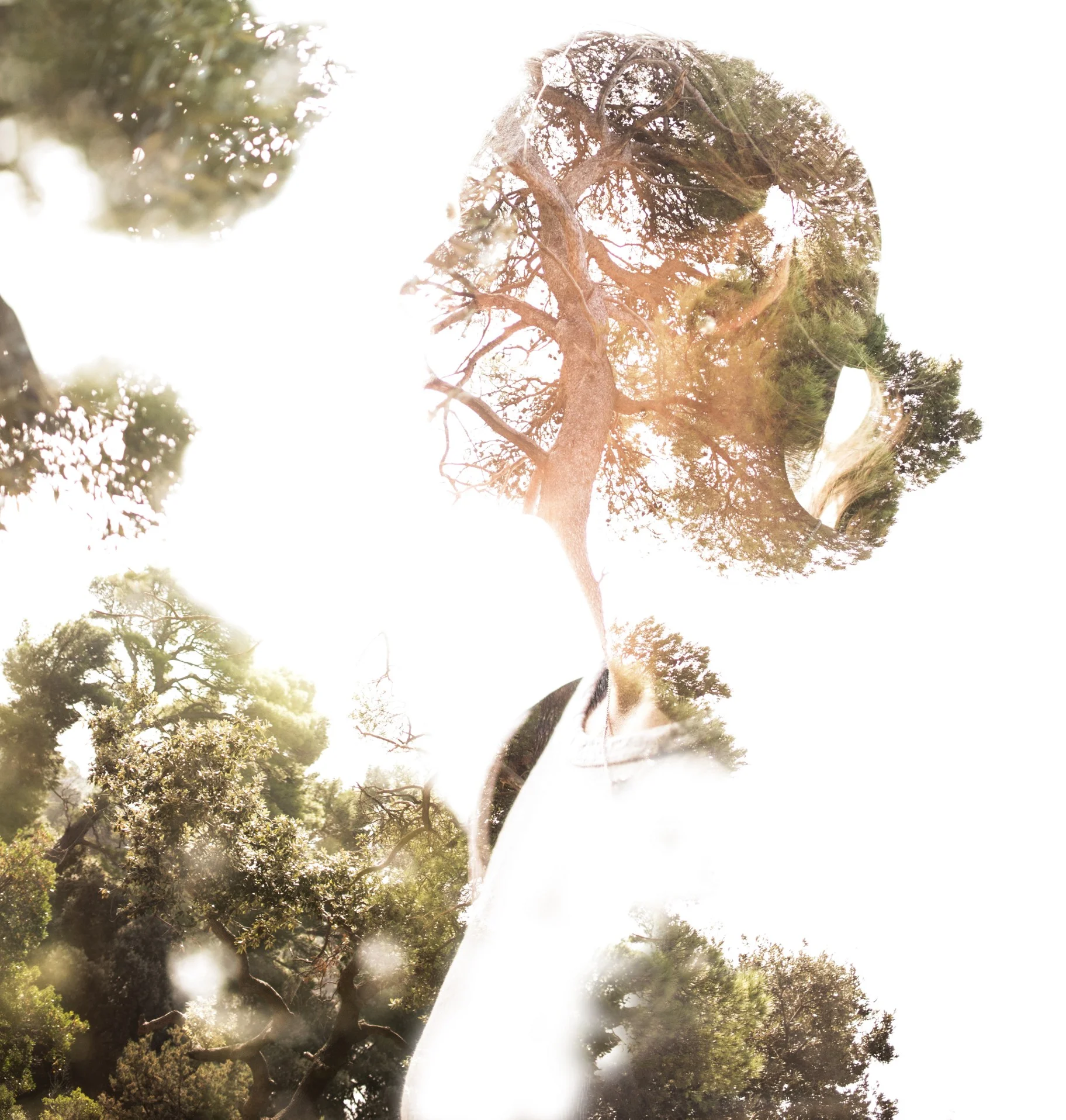 C__Data_Users_DefApps_AppData_INTERNETEXPLORER_Temp_Saved Images_15438767417_426cf42522_o.jpg