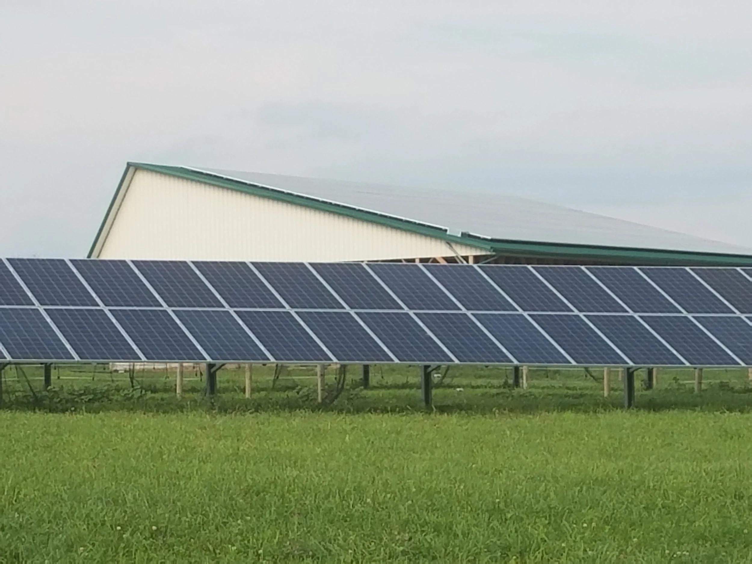Rock Hill Orchard Solar Array.jpg