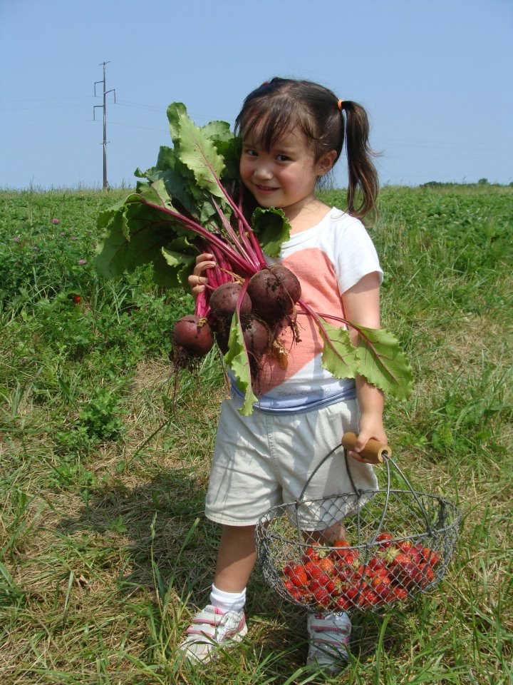 picking beets.jpg