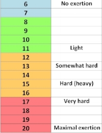 The Borg scale: rating of perceived exertion. Image credit: http://www.vavaveteran.co.uk/tag/borg-scale/