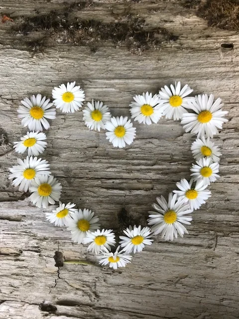 My own Goldsworthy-inspired piece