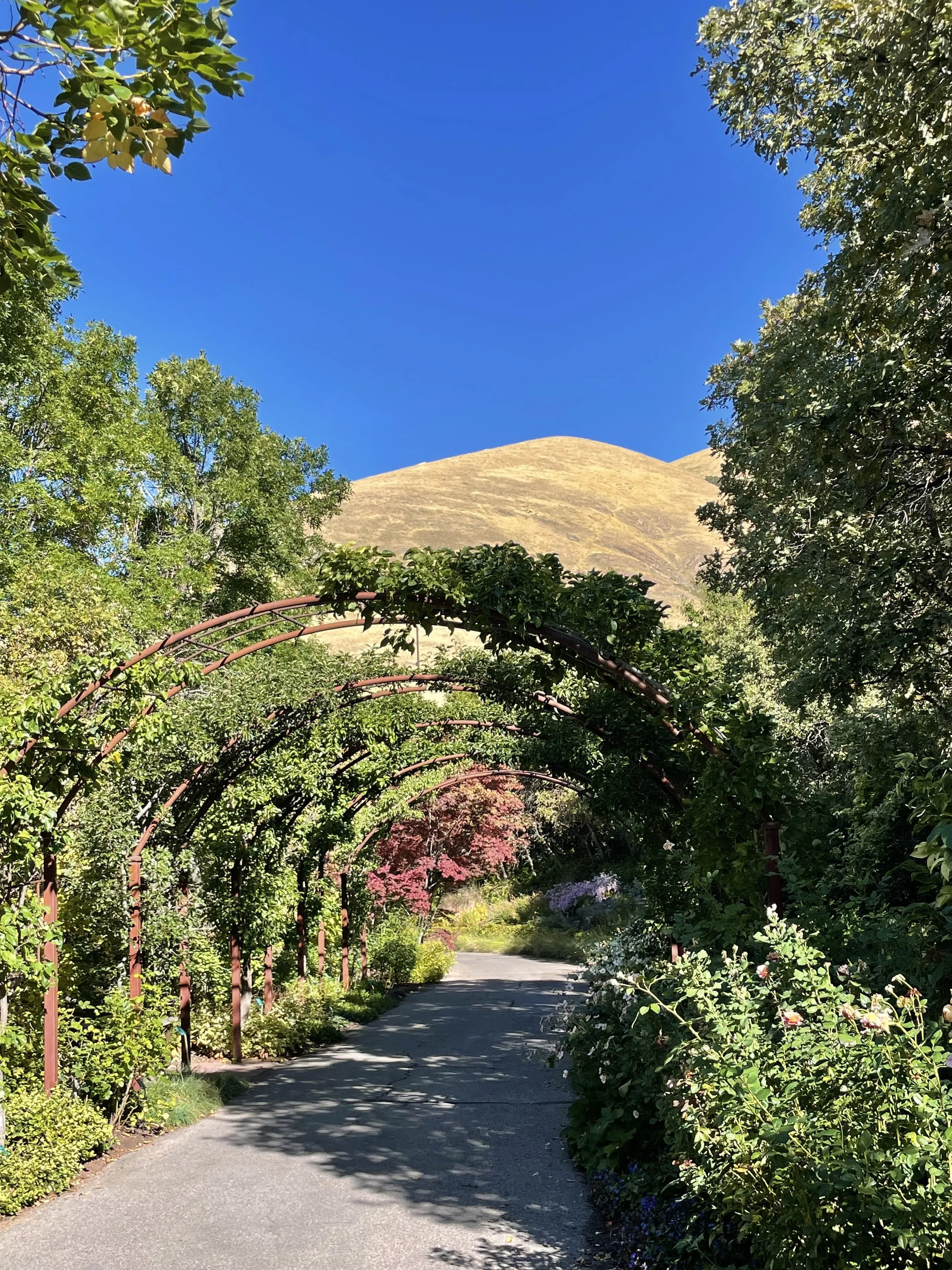 IMG_5649.jpeg