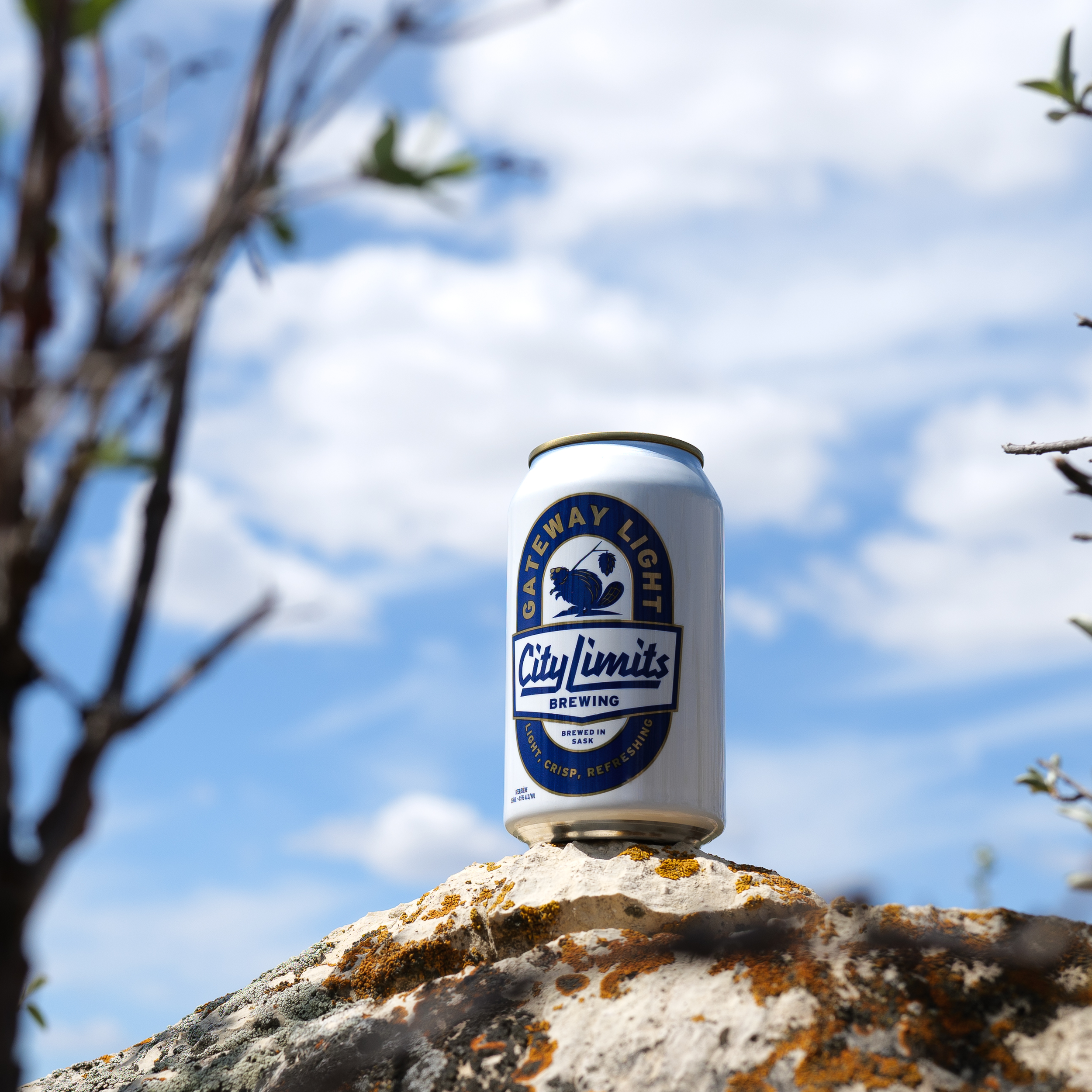 Gateway Light Can Solo.png