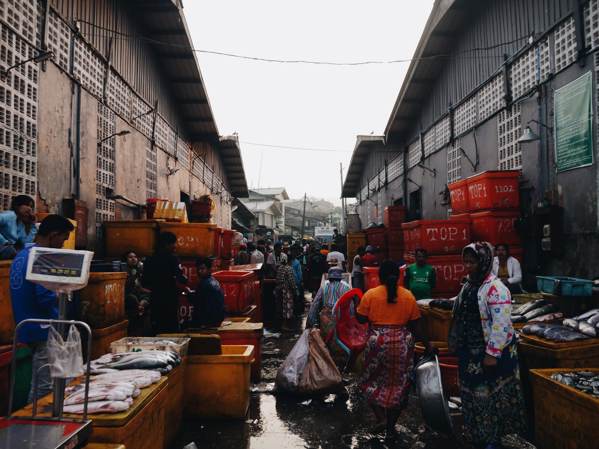 San Pya Fish Market