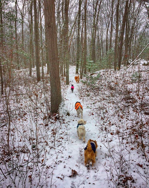 Gus Luna Chip Sadie Remy.png