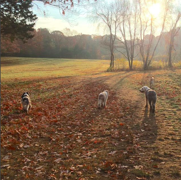 Jake Elwood Carmen.png