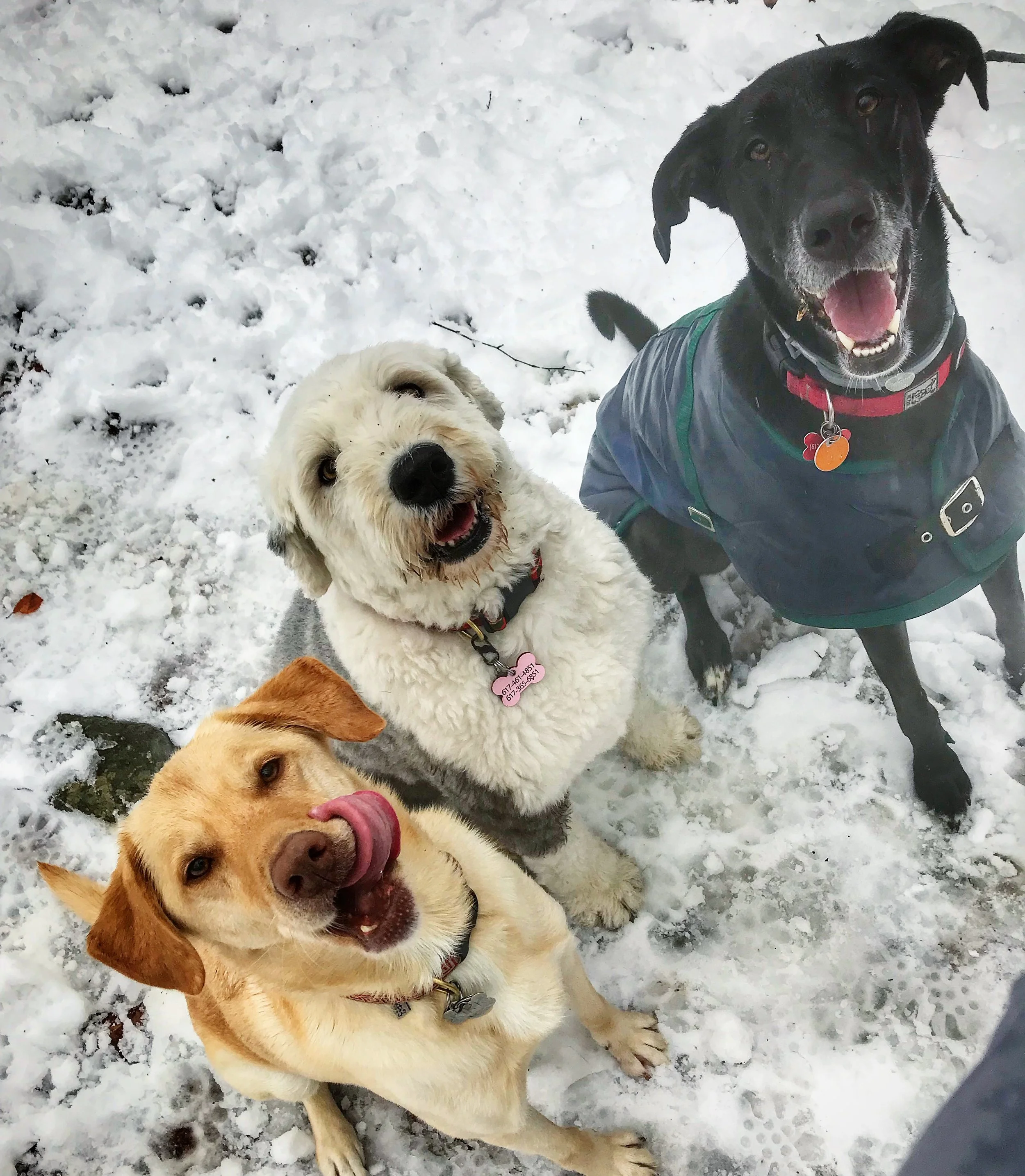 Kirk Carmen BellaM.JPG