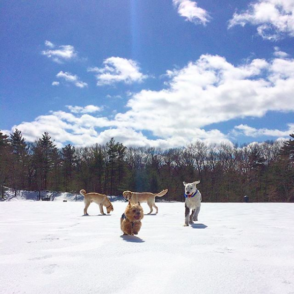 Kirk LolaH Carmen Gus.png