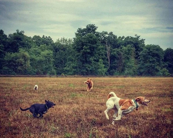 LUNA SADIE Jane Remy.jpg