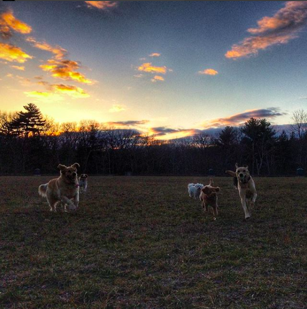 RemyL Leah Hazel Luna.png