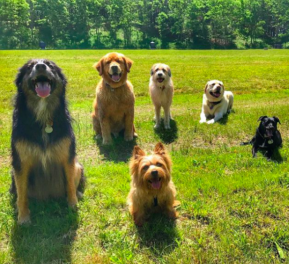 Screen Shot 2017-11-30 at 12.48.30 AM.png