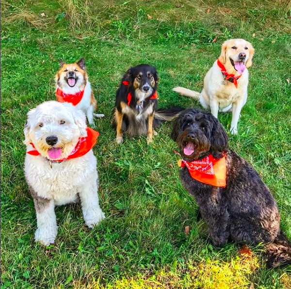 Screen Shot 2017-12-08 at 7.25.44 AM.png