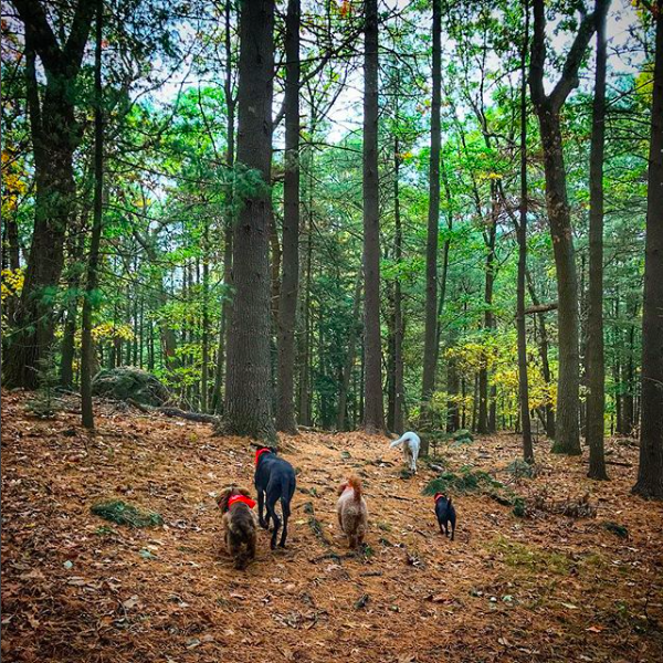 Screen Shot 2017-12-08 at 7.25.17 AM.png