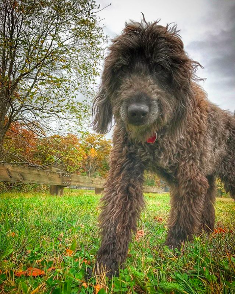 Screen Shot 2017-12-12 at 9.37.22 PM.png